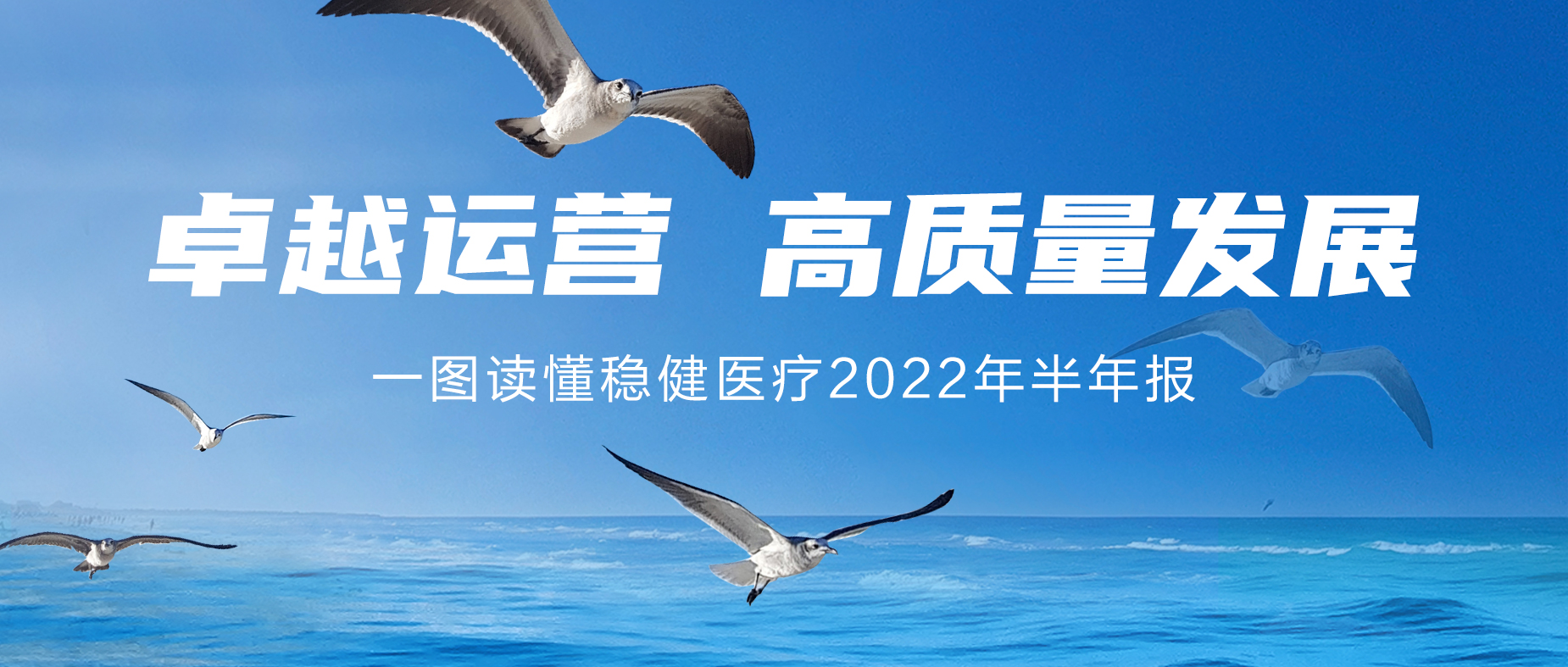 一图读懂bti体育2022年半年报