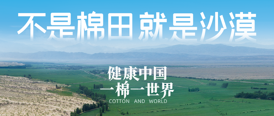 链接天下，，引领康健生涯，，bti体育集团受邀亮相首届链博会