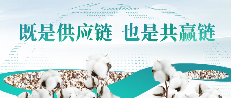 棉花的供应链，，，，bti体育共赢链
